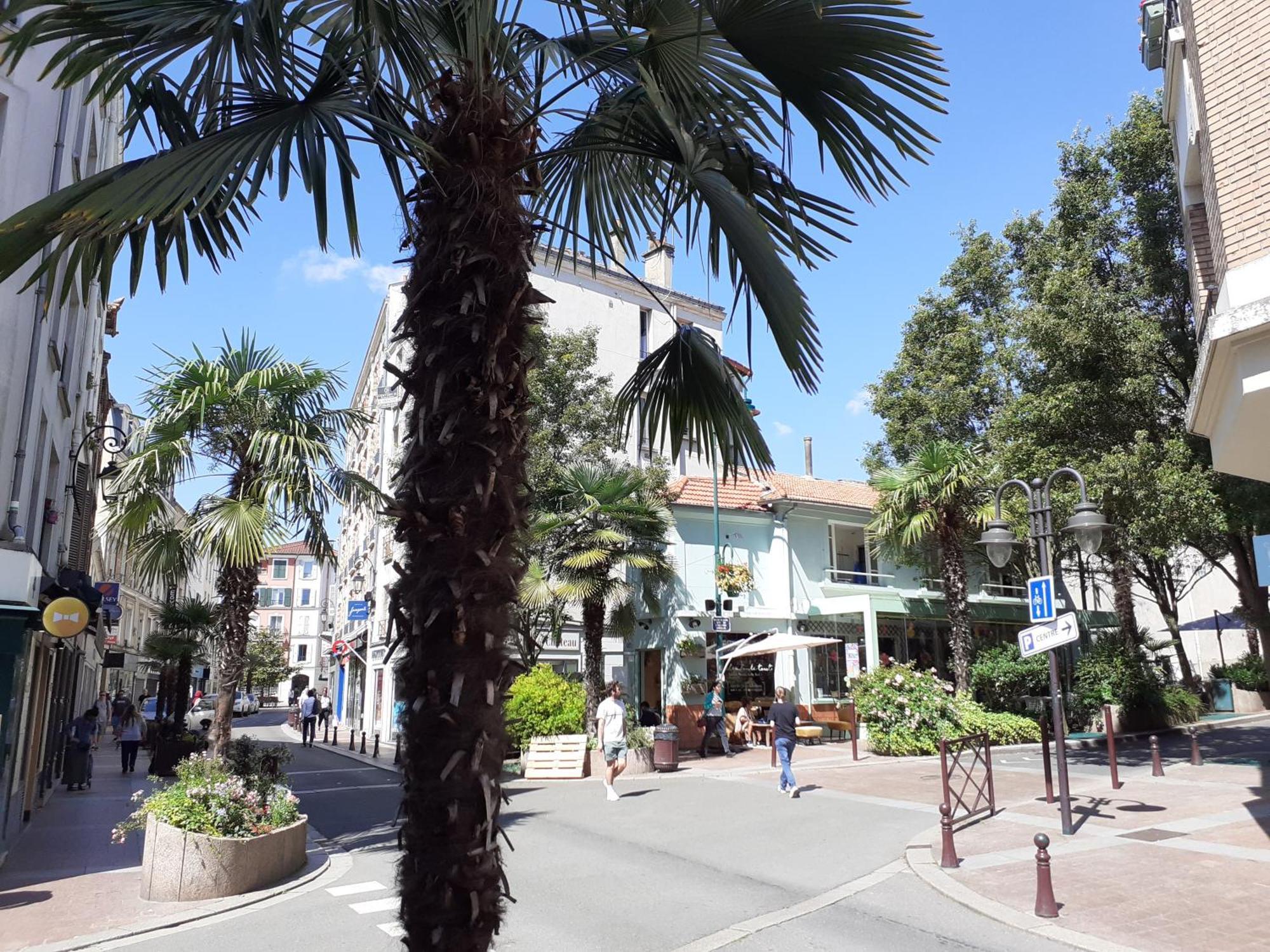 Maison Individuelle Avec Terrasse Nogent Sur Marne Dış mekan fotoğraf